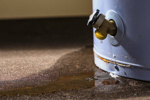 Best Ceiling water damage repair  in Southern Shops, SC