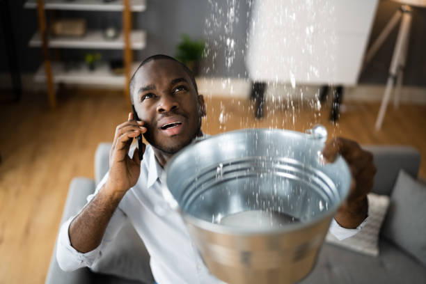 Best Mold removal after water damage  in Southern Shops, SC