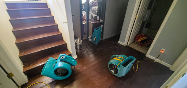 Water damage restoration process in SC