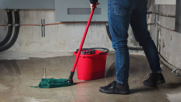 Best Commercial water damage restoration  in Southern Shops, SC
