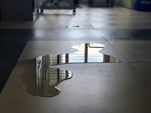 Best Professional water damage repair  in Southern Shops, SC