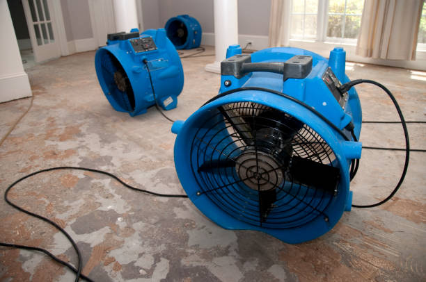 Best Water damage restoration process  in Southern Shops, SC