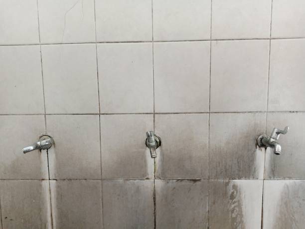 Best Water damage restoration services  in Southern Shops, SC
