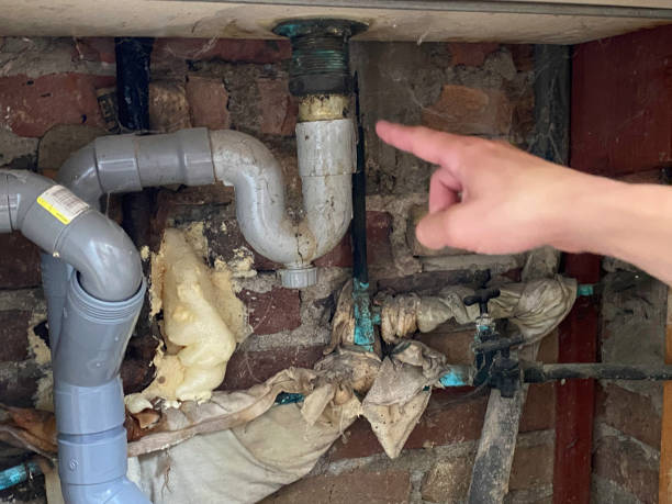 Best Carpet water damage restoration  in Southern Shops, SC