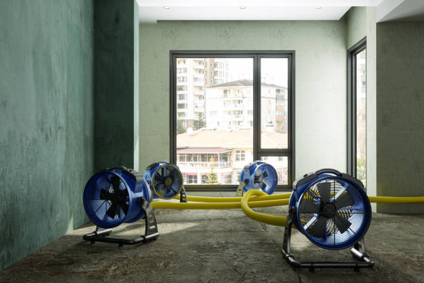 Best Emergency water damage restoration  in Southern Shops, SC