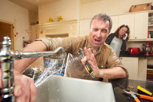  Southern Shops, SC Water damage restoration Pros